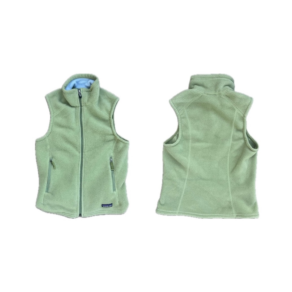 Patagonia Synchilla Fleece Vest